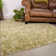 Allshouse Area Rug
