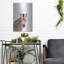 «Baby Zebra» par Tai Prints-1624144555