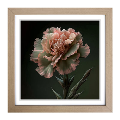 Carnation Flower Realism - Framed Print
