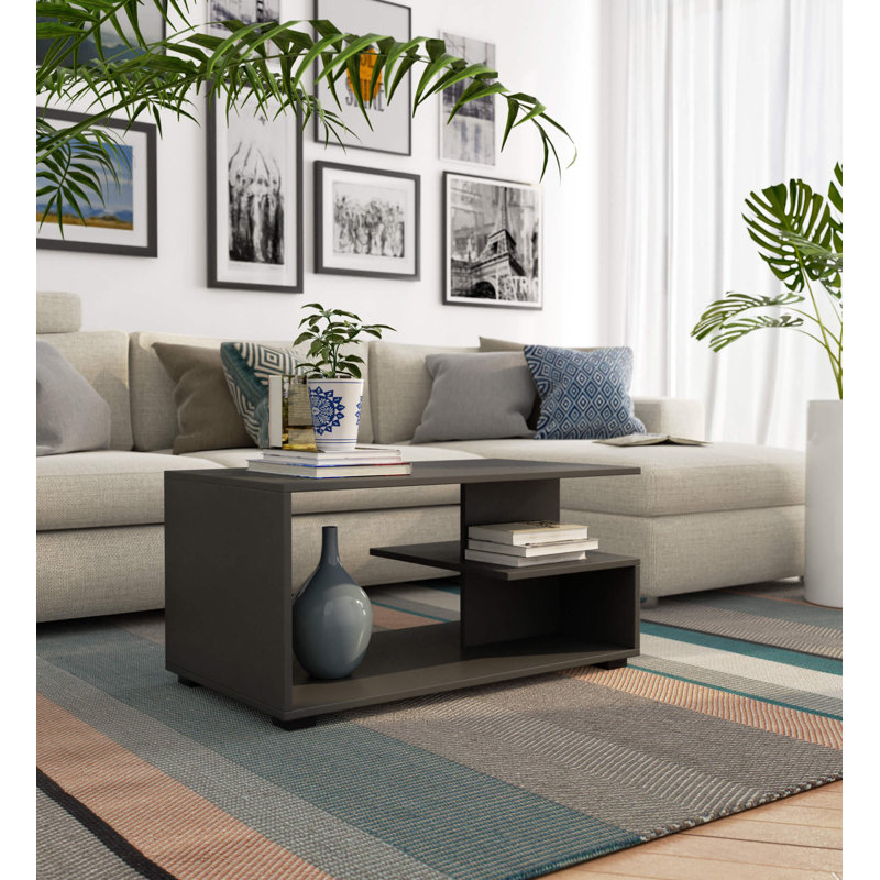 Roshaad Coffee Table with Storage