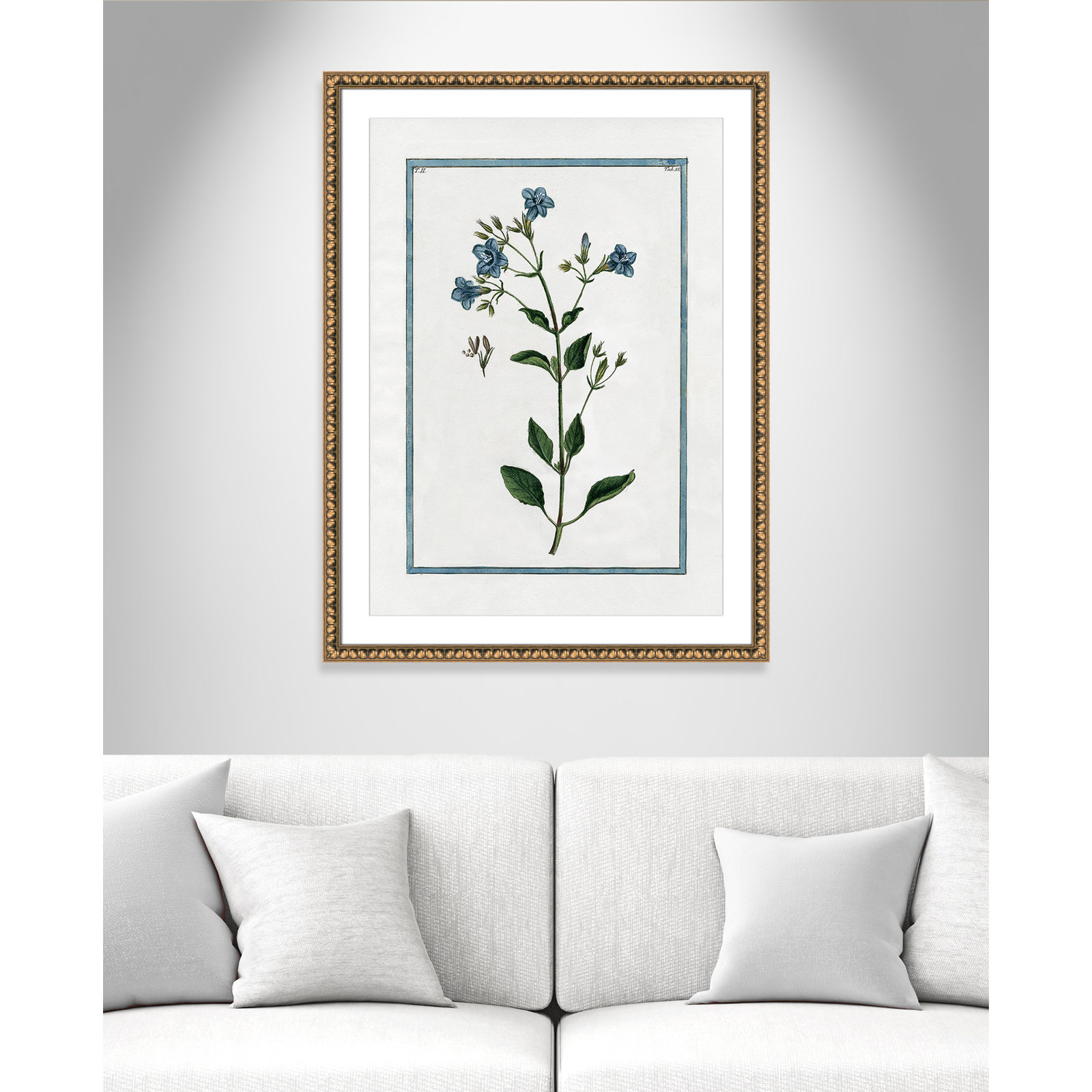 Shabby Elegance Botanical II - Framed Art, Gold Bead Framed, 26.5" W x 36.5" H