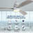 51.96'' Ceiling Fan with LED Lights