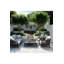 Voyage Outdoor Lounge Chair