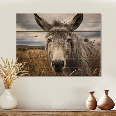 " Gray Donkey Gentle Companion "