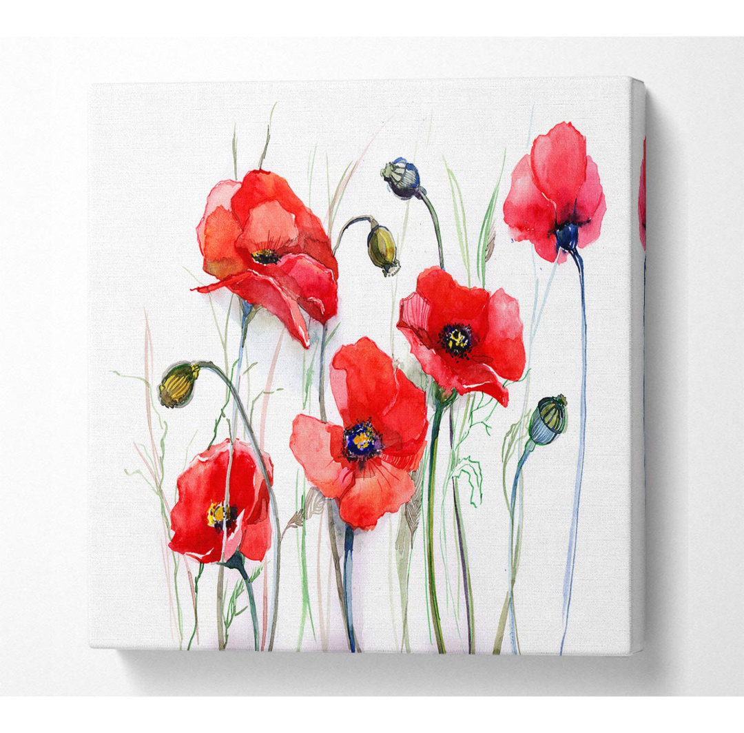 Neddra Poppy Magic Skies - Kunstdrucke auf Leinwand