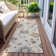 Machine Washable Indoor/Outdoor Segin ACN1218 Rug