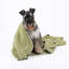 Fleece/Microfiber Pet Blanket-88666961-88666962