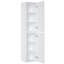 Merrillville Wall Linen Cabinet