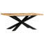 Graber Mango Rectangular Wood Top Dining Table