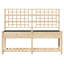 Garden Planter with Shelf Solid Fir Wood Outdoor Rectangular Box-398337850-398337848