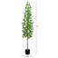 Arbre artificiel UV Podocarpus (intérieur / extérieur)-890176874