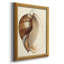 Imprimé Splendid Shells III-1385888432