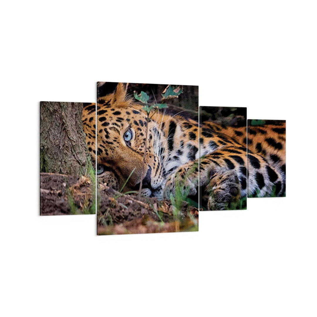 4-tlg. Leinwandbilder-Set Leopard Portrait Jaguar