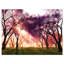Photographie de jardin de cerisiers en fleurs au Japon-228653024-228653038