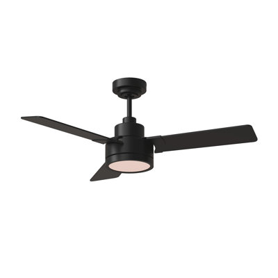 Ebie 44'' Ceiling Fan with LED Lights