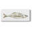 " Silver Fish Ii "-403625067