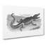 Crocodile In Black & White by George Shaw - Wrapped Canvas Print-55304586