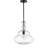 Gumbranch 1 - Light Single Pendant-181932207