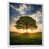 White Floater Framed
