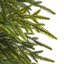 Pin vert 6 pi Norfolk-132199140