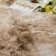 Super Soft Shaggy Beige Rug