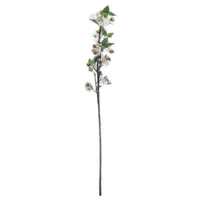 Anastasija Arrangement