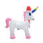 Licorne gonflable-1223070107
