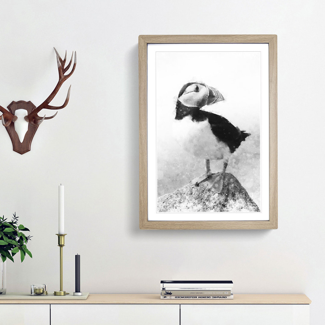 The Atlantic Puffin Bird - Framed Print