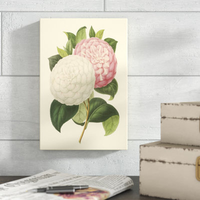 Camellia Garden IV by Verschaffelt - Painting on Canvas