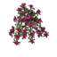 Plante d'azalée suspendue 24 "UV