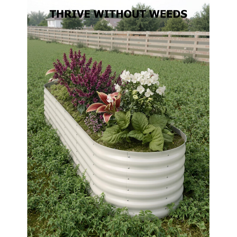 2Pack Steel Raised Garden Bed,Metal Deep Root Planter Box for Vegetables Flowers Herbs,Large Oval Garden Planting Bed,Easy Assembly ( 8x2x1.5ft )