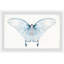 Butterfly Beauty - Single Picture Frame Painting-1572965165