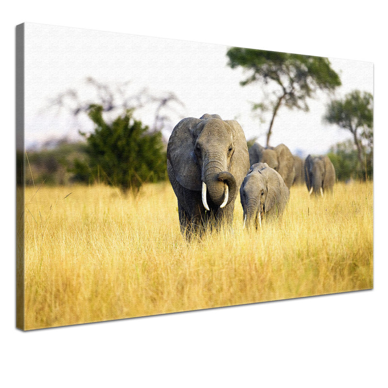 Print on Canvas, 40cm H x 60cm W x 2cm D