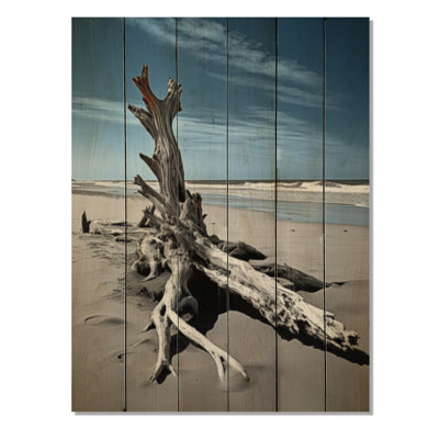 «Beach Driftwood Photo II» sur bois