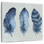 Plumes bleues indigo Kerner I-109209998