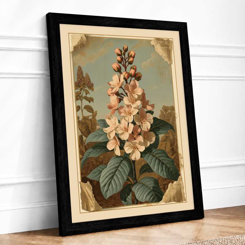 Flowering Plant Study Botanical - Framed Print, A3 - 42.0 x 29.7 cm, Black