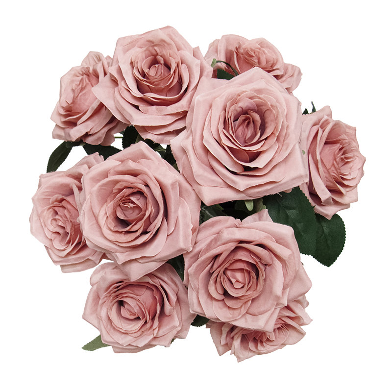 Grand rosier Jaafer Deluxe, Mauve cendré