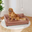 Canapé pour chien-73385419