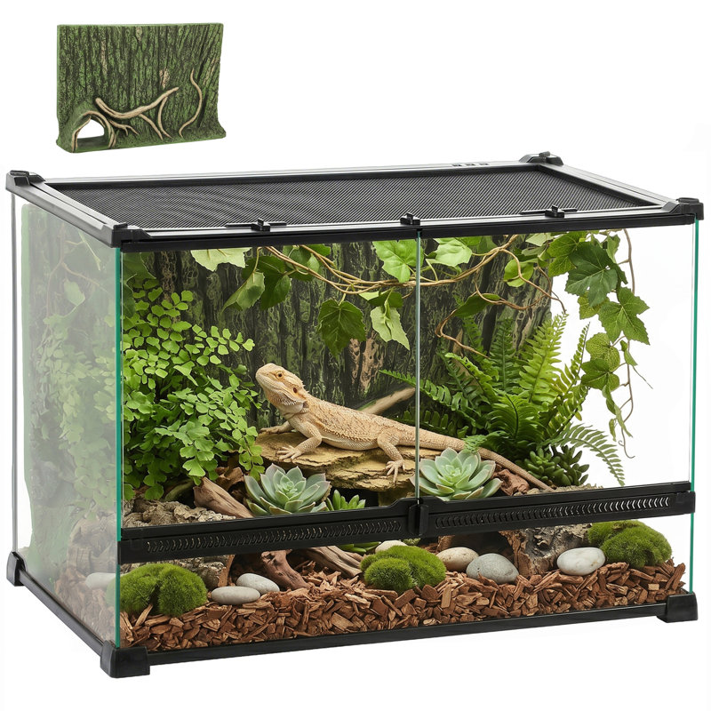 Reptile Box