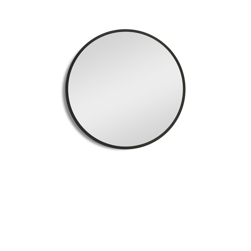 Bily 24'' W 24'' H Surface Framed Medicine Cabinet Mirror 2 Fixed