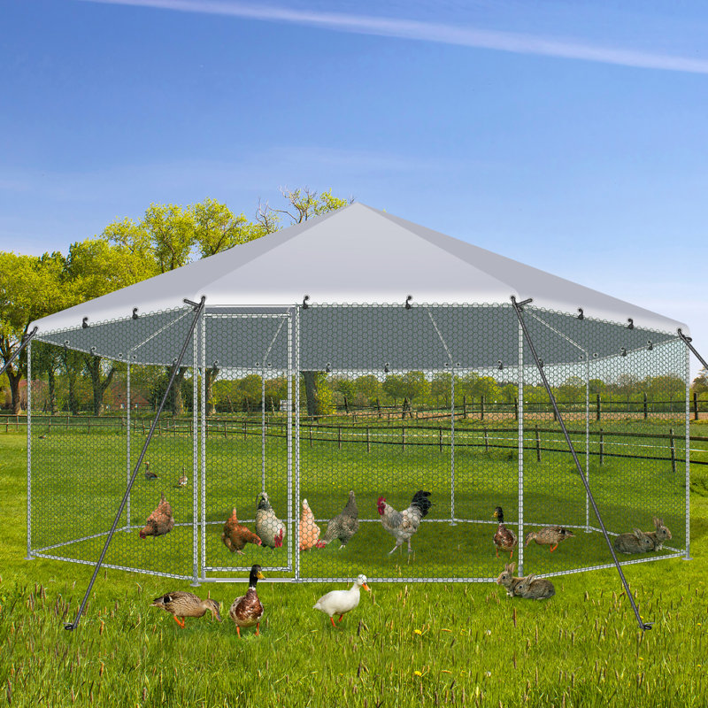 Poulailler avec couvercle imperméable et porte verrouillable, H 103,2 po x l 208,8 po x P 208,08 po