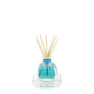 Petit jasmin méditerranéen Petitessence