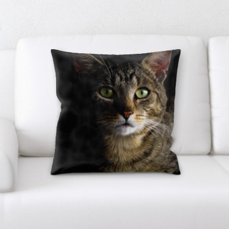 Lassiter Cat Throw Pillow
