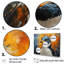 «Curious Penguin Portraits I», reproduction sur toile-97080606-97080611