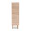 10 Pair Shoe Storage Cabinet