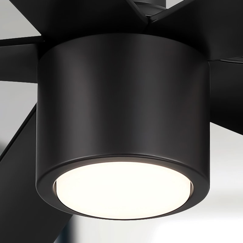 Ventilateur de plafond 5 pales avec télécommande et lumière à intensité variable RAVian, 60", Noir mat