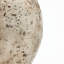 Vase rustique en terre cuite 12,4 pouces-118537738
