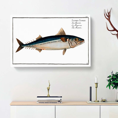 Mackerel Fish by M.E. Bloch - Wrapped Canvas Print