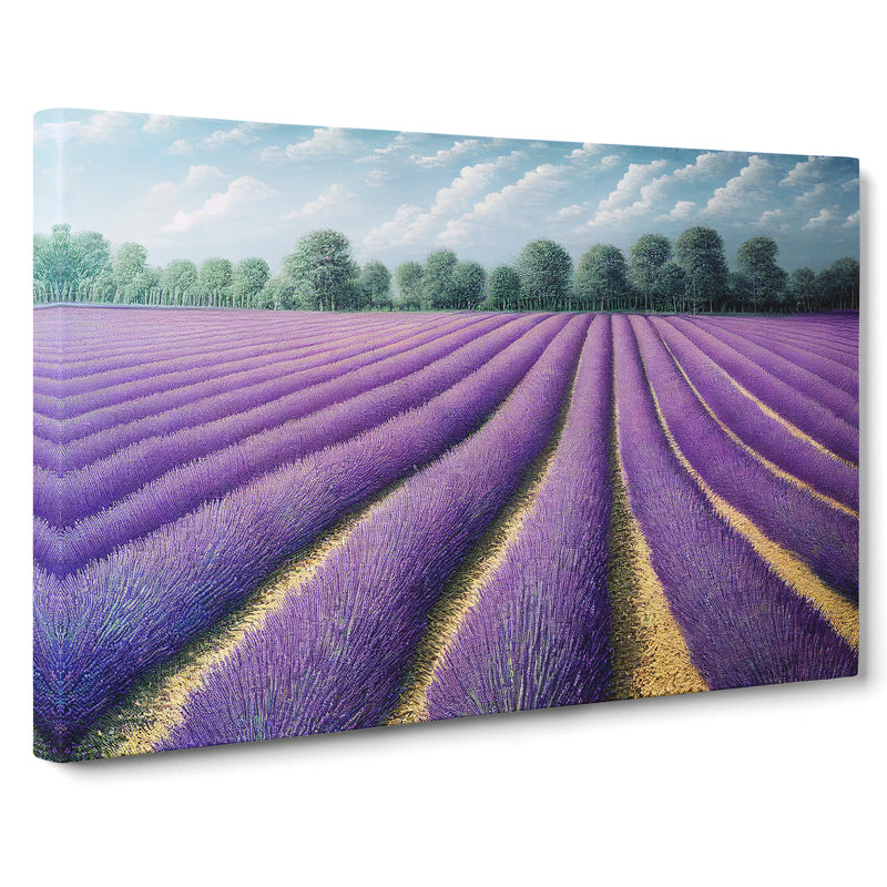 A Superb Lavender Flower Field - Wrapped Canvas Painting, 50cm H x 76cm W x 3cm D