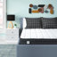Ellum Memory Foam Spring Mattress-51335506